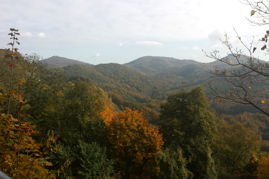 Das Siebengebirge im Herbst.