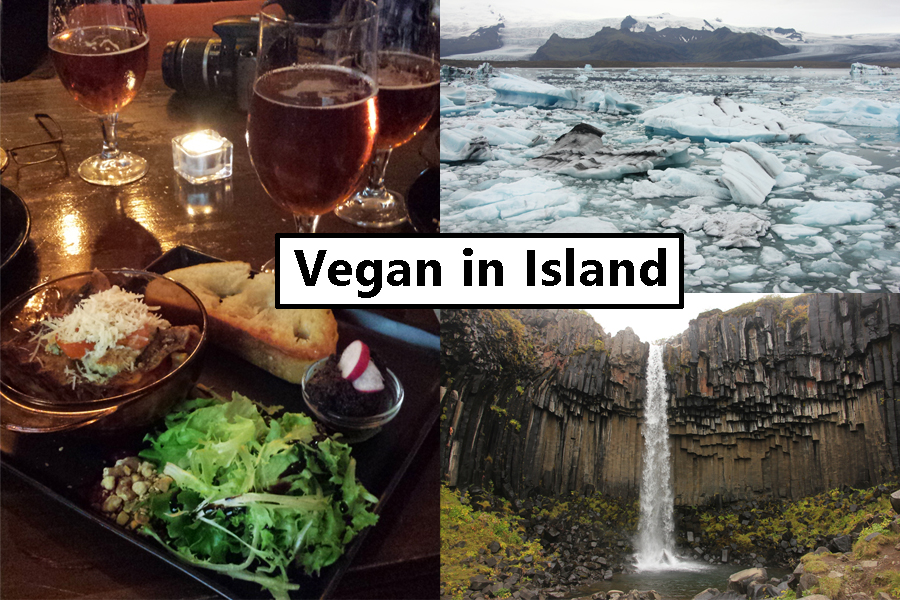 Vegan in Island