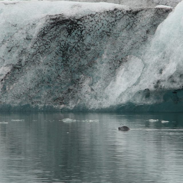 In zwei Wochen Rund um Island ein Roadtrip