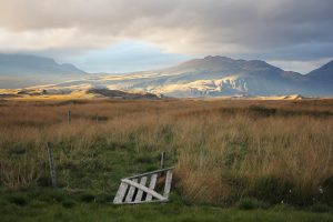 Highlights einer Island Reise – von Westisland nach Nordisland