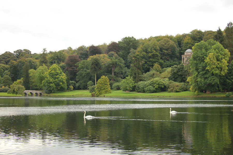 Zwei Schwäne schwimmen über den See in Stourhead Gardens
