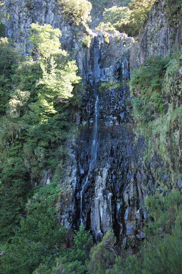 Der Risco Wasserfall auf Madeira hat bei meinem Besuch nur wenig Wasser.