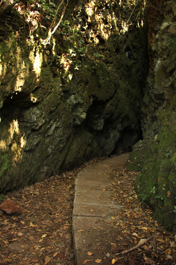 Tunnel bei der Ribero Frio Wanderung