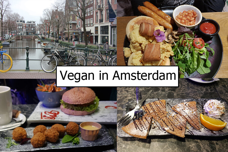 Vegan in Amsterdam Schriftzug vor mehreren Essenbildern und einem typischen Grachtenbild