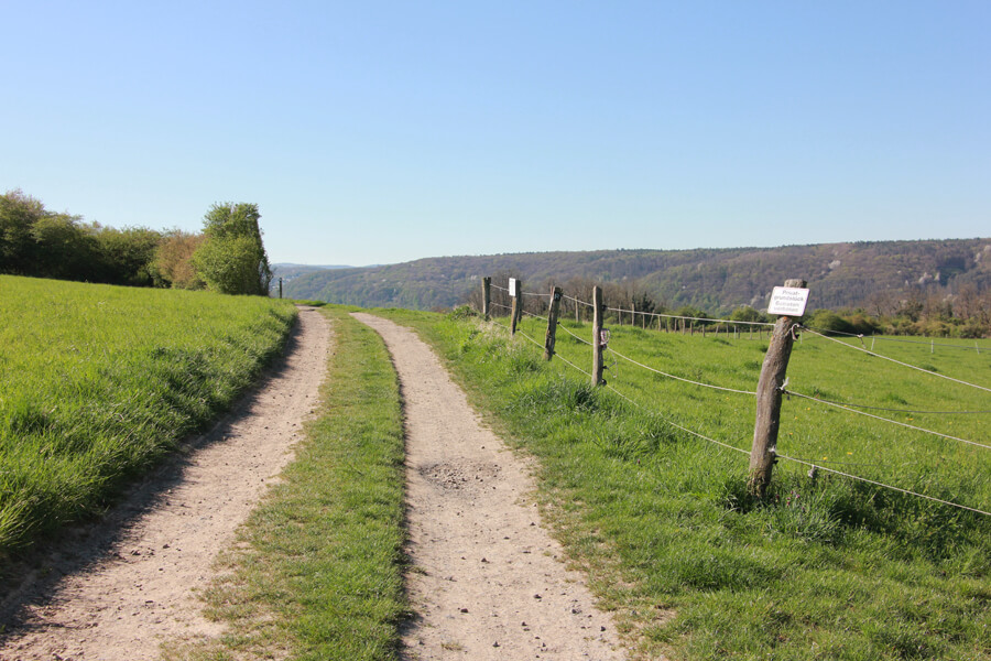 Feldwege auf dem Rheinsteig bei Bad Hönningen