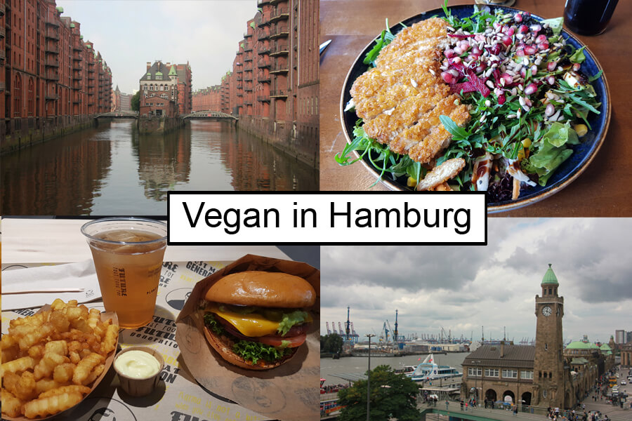 Vegan in Hamburg, Titelbild mit Collage aus Essenbildern, Speicherstadt und Landungsbrücken