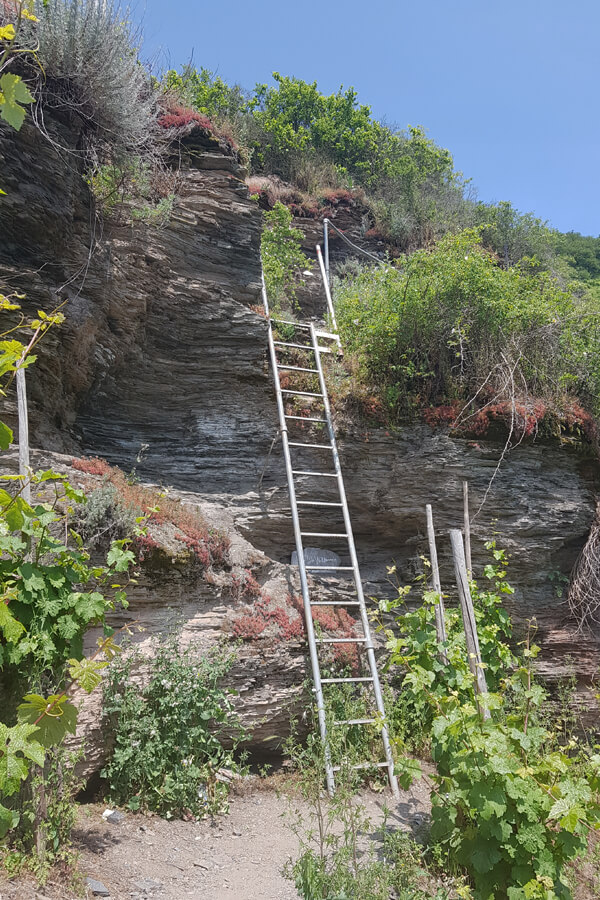 Eine Leiter auf dem Klettersteig Erdner Treppchen.