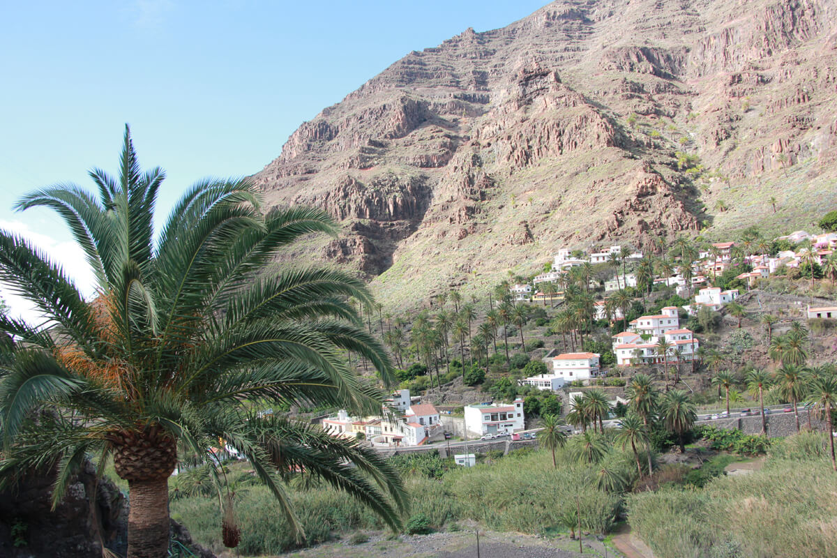 Aussicht auf Valle Gran Rey mit Palme im Vordergrund