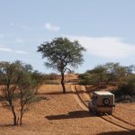 Ein Safari Jeep fährt durch die Dünen der Kalahari