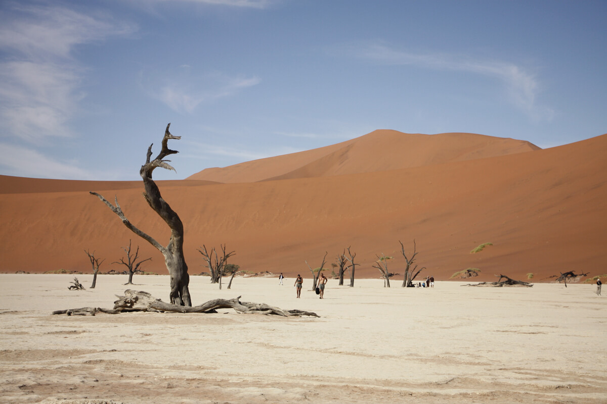 Tote Bäume zwischen roten Sanddünen im Deadvlei in Namibia