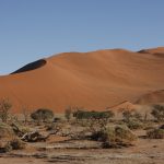 riesige rote Sanddünen in Sossusvlei
