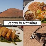 Vegan in Namibia Titelbild mit Collage und Schriftzug