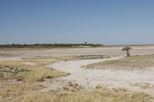 Karge, weite Landschaft an der Etosha Salzpfanne