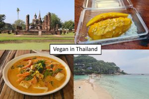Vegan in Thailand, Titelbild mit Schriftzug