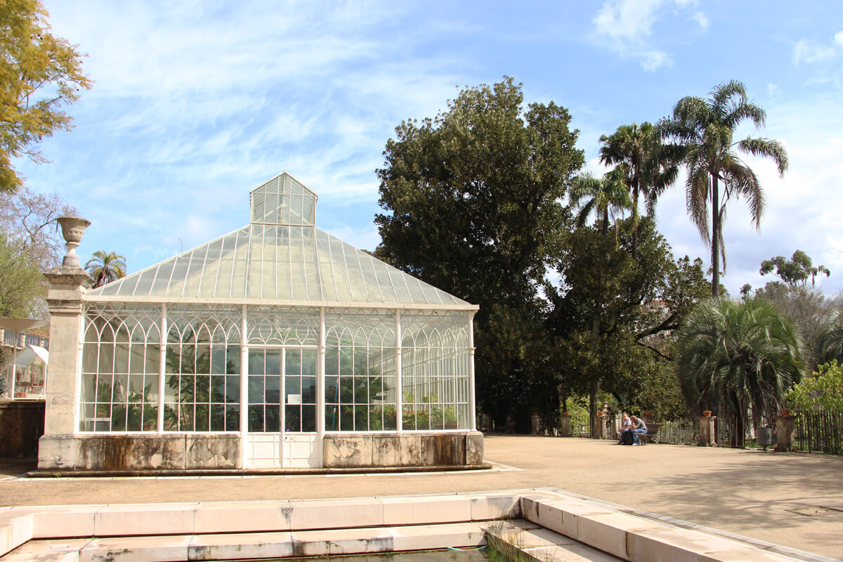 Gewächshaus und Palmen im botanischen Garten von Coimbra