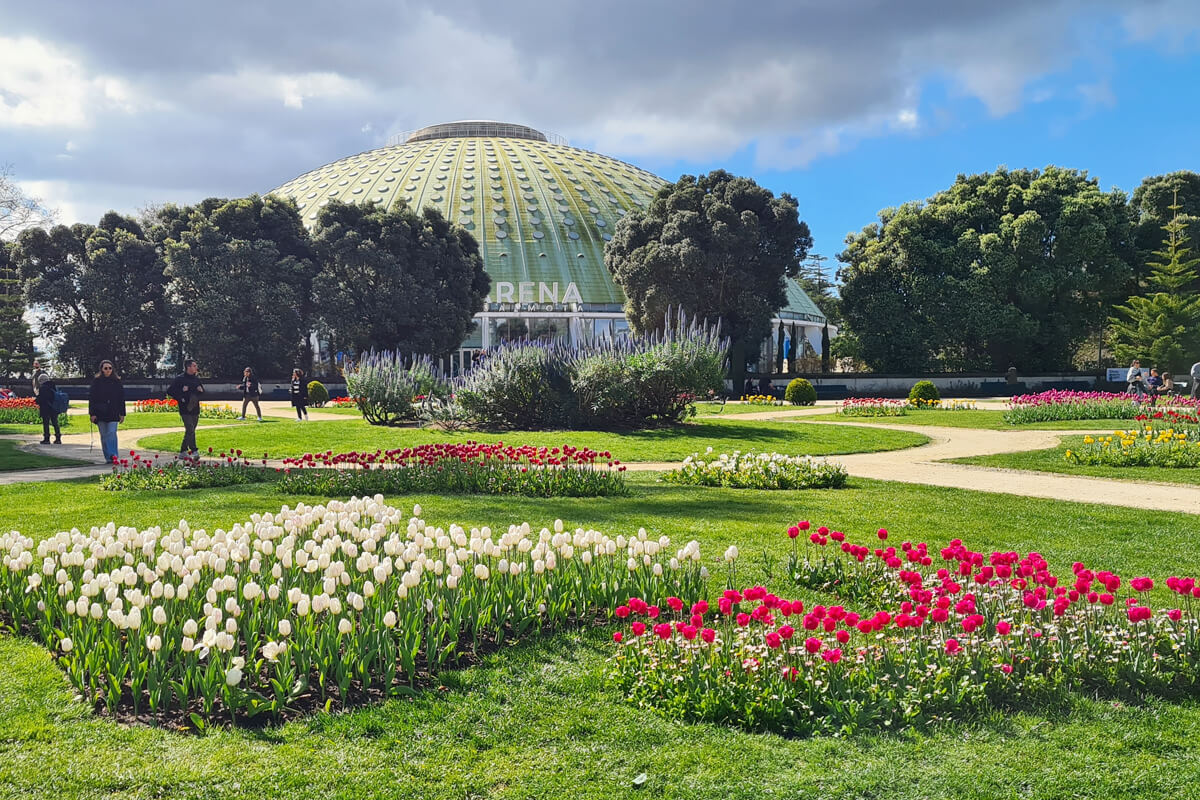 Beete voll blühender Tulpen im Jardins do Palacio de Cristal.