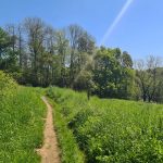 Auf Etappe 8 führt der Kölnpfad hinein ins Bergische Land.
