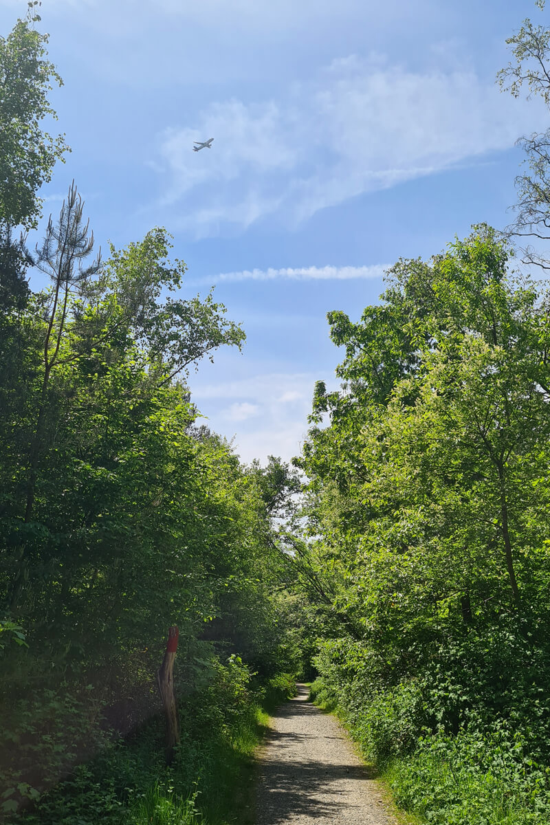 In der Wahner Heide kann man Flugzeuge starten sehen.
