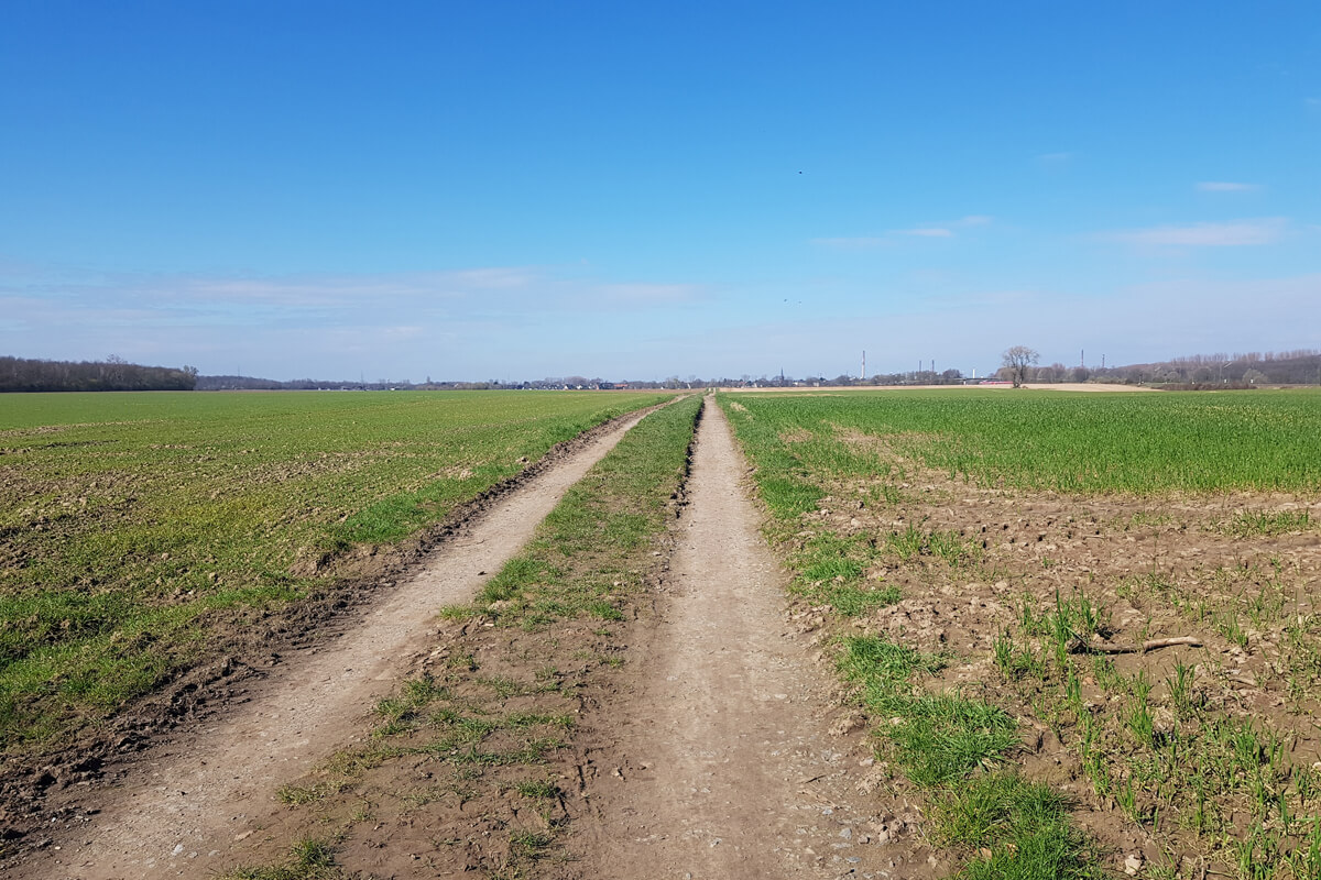 Kölnpfad vor Worringen