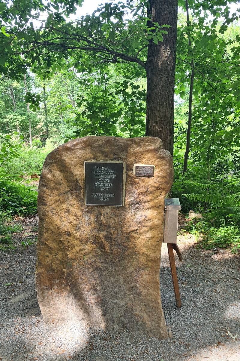 Gipfelstein am Monte Troodelöh