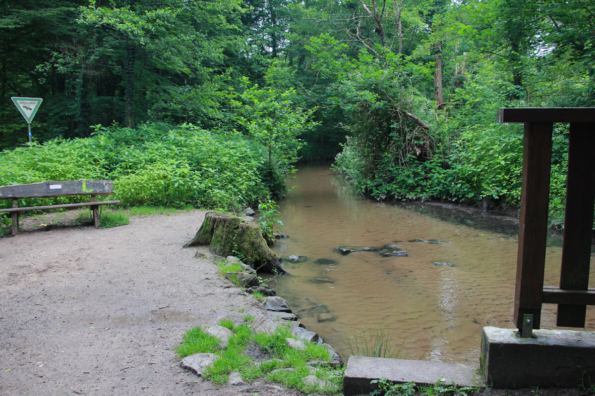 Uferstelle am Mutzenbach im Dünnwald
