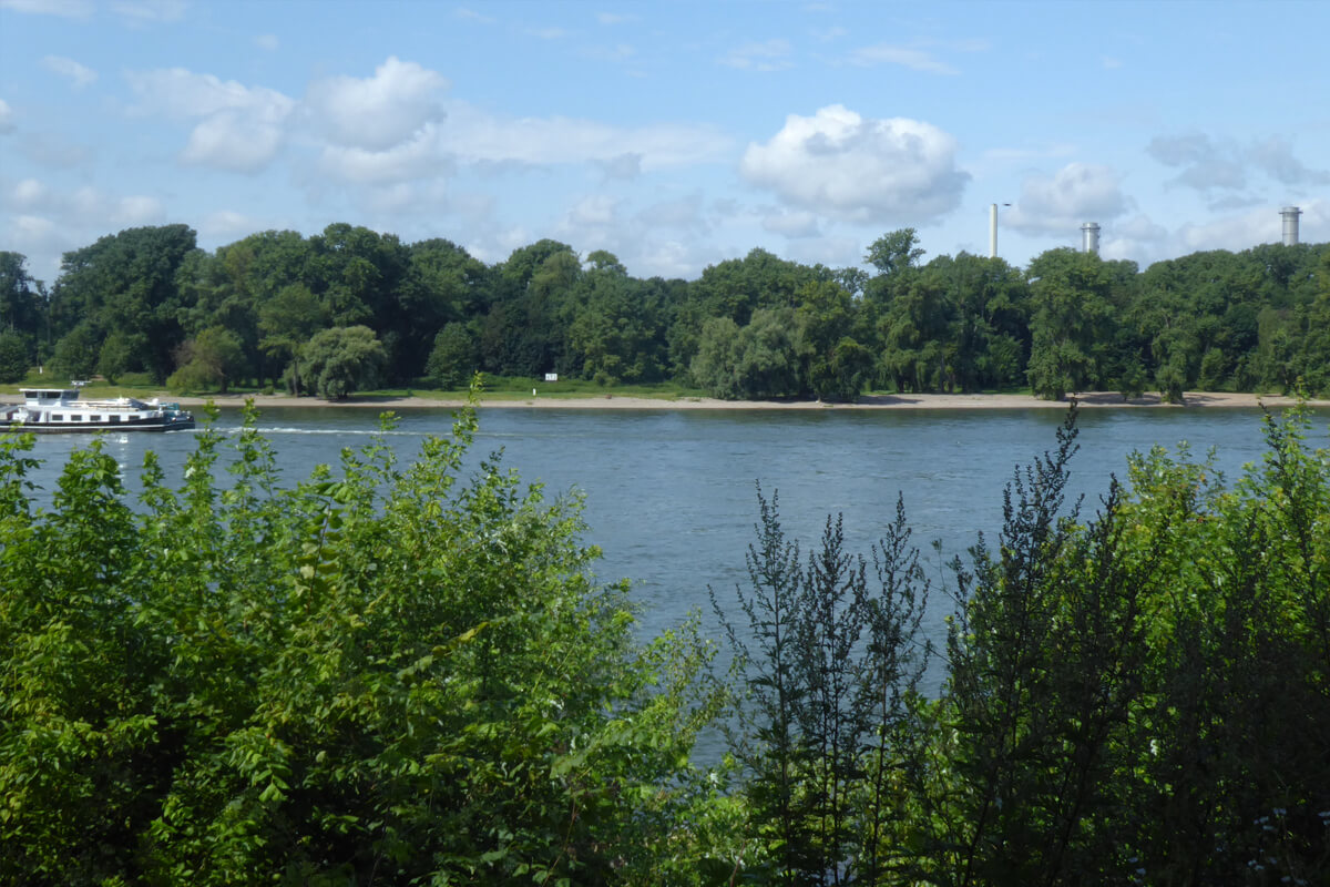 Das Rheinufer bei Mülheim.