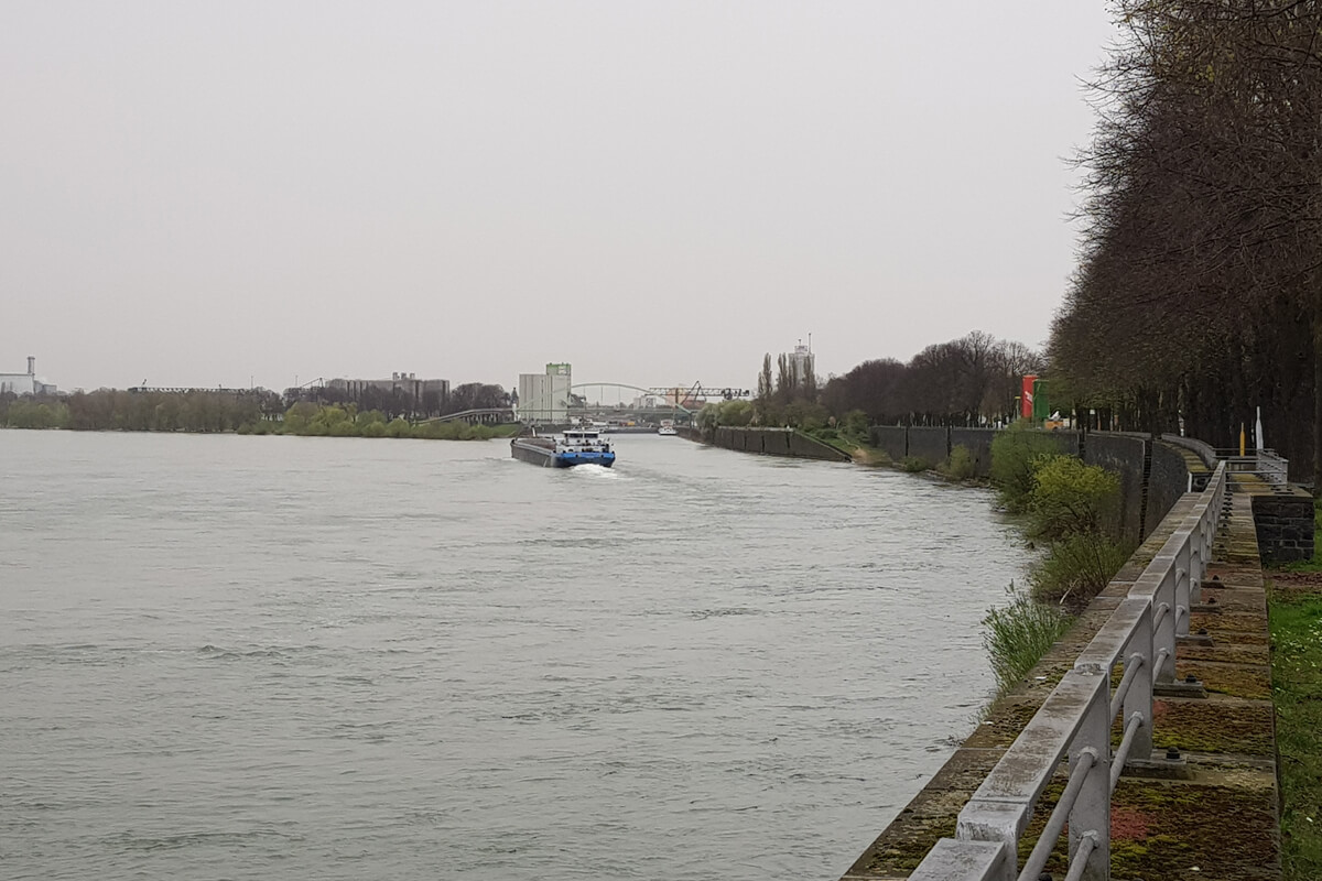 Rheinufer in Niehl mit Blick auf den Hafen.
