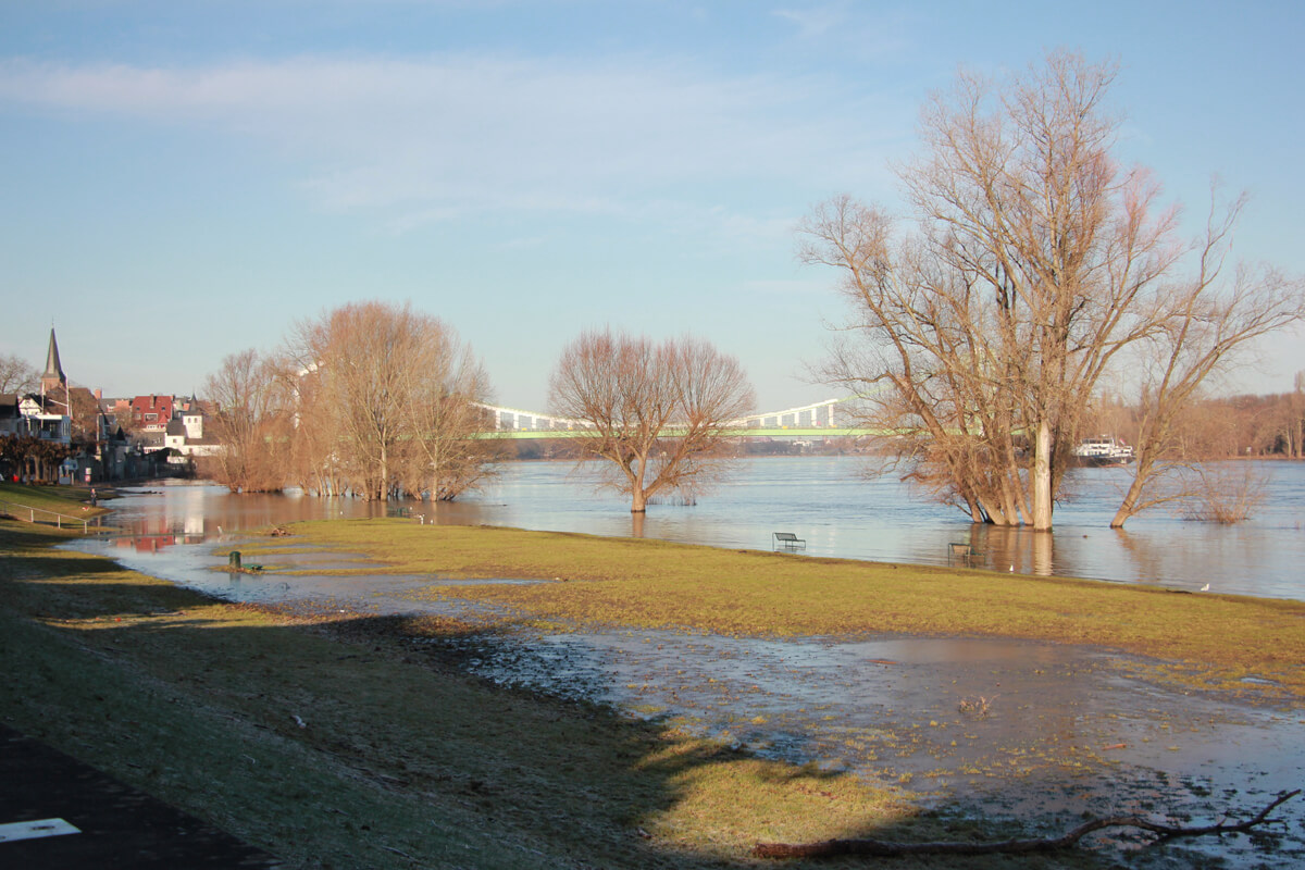 Rheinufer in Rodenkirchen nach einem Hochwasser