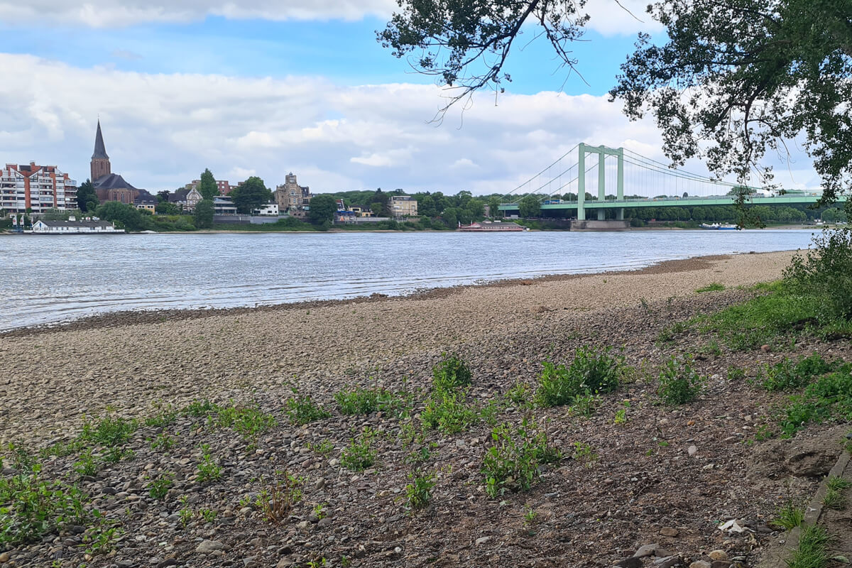 Kiesstrand am Ende des Kölnpfads mit Blick auf die Rodenkirchener Brücke