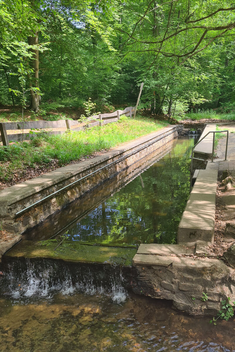 Wassertretstelle im Königsforst.