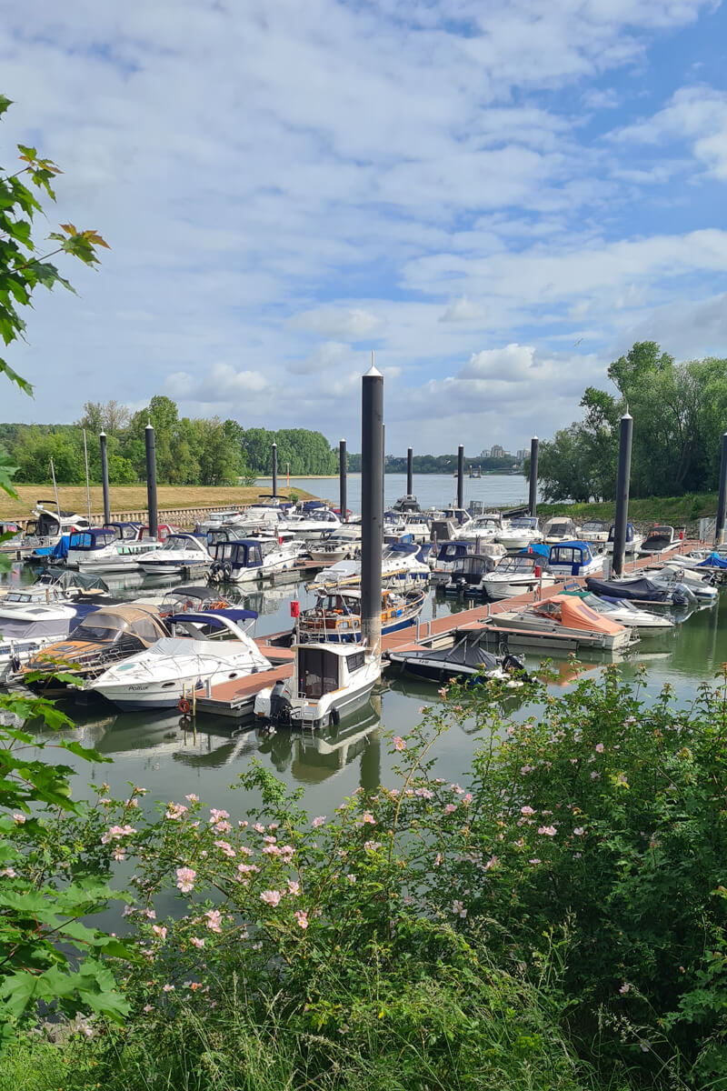 Sportboote im Zündorfer Hafen.
