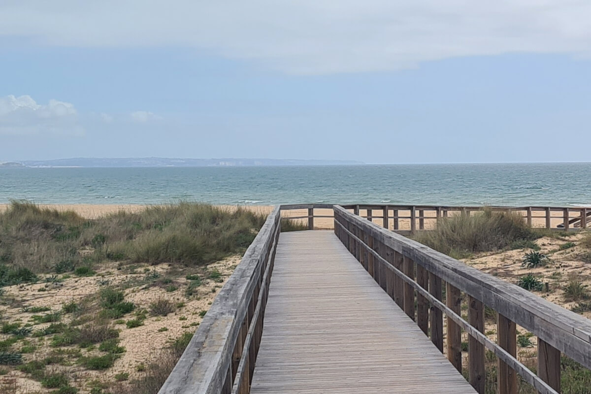 Holzstege führen über die Dünen am Meia Praia