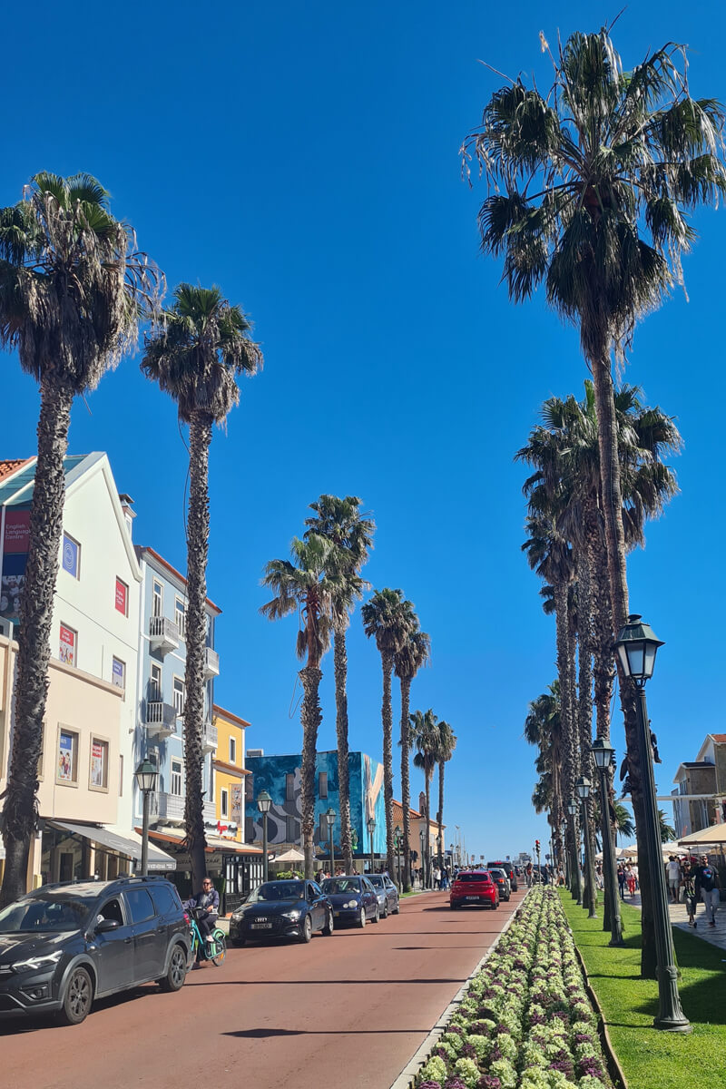 Palmengesäumte Straße in Cascais