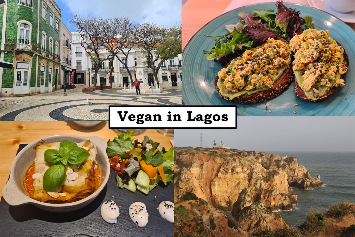 Vegan in Lagos, Titelbild mit Collage und Schriftzug