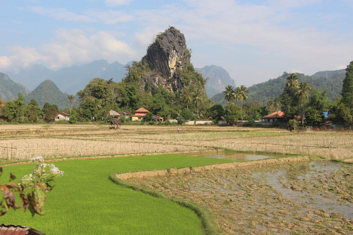 Reisefelder zwischen Karstefelsen in Vang Vieng