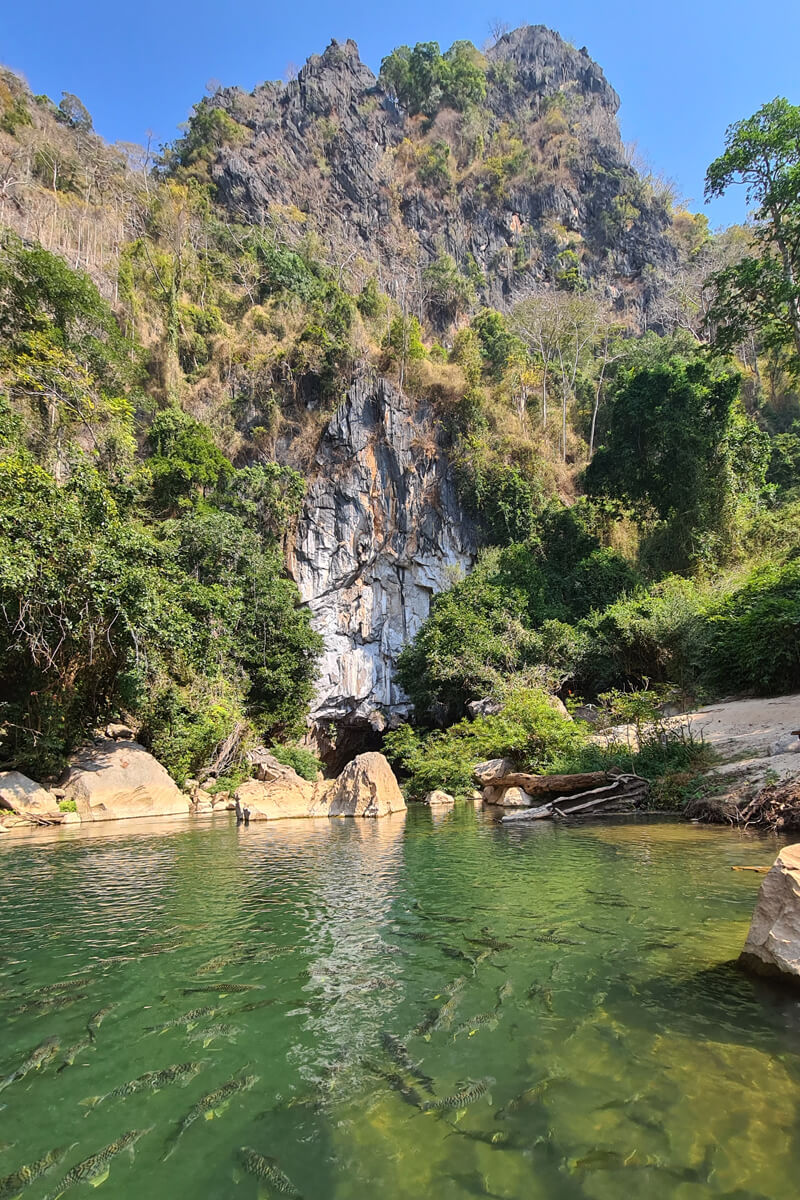 Fische schimmen im Fluss vor dem Eingang zur Kong Lor Cave