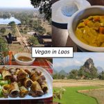 vegan in Laos, Titelbild mit Collage und Schriftzug