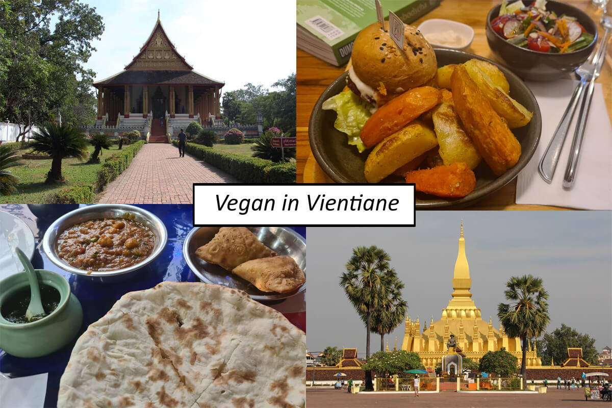 Vegan in Vientiane, Titelbild mit Collage und Schriftzug