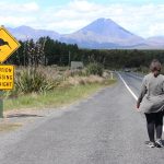 Tongariro-Nationalpark – einfache Wanderungen als Alternative zum Alpine Crossing ich stehe neben einem Kiwi Straßenschild im Tongariro Nationalpark in Neuseeland
