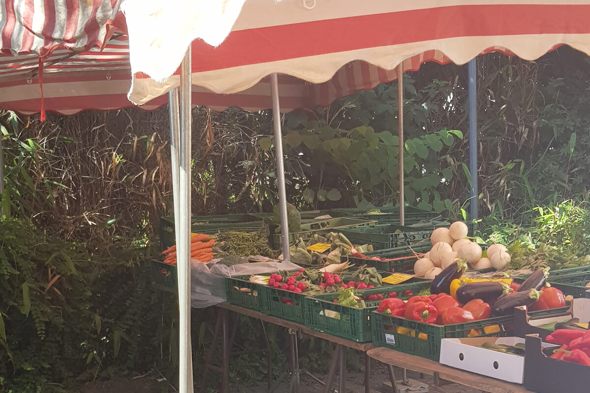 Regionale und saisonale Lebensmittel kaufe ich auf dem Wochenmarkt.