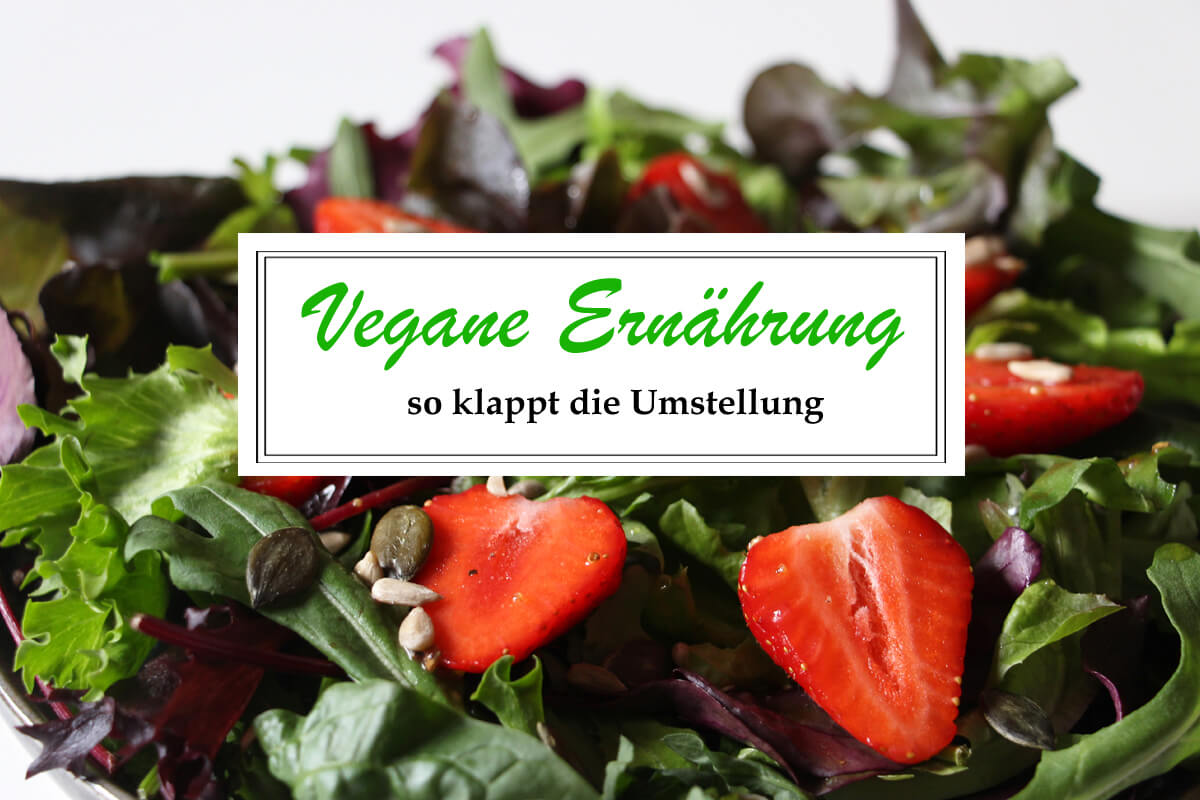 Titelbild mit Salatteller im Hintergrund und Schriftzug "vegane Ernährung - so klappt die Umstellung"