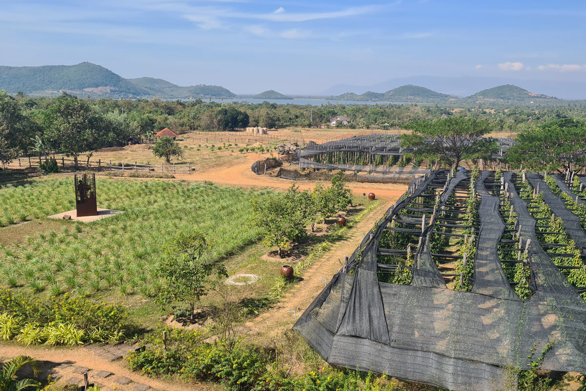 Auf einer Pfefferfarm in Kampot