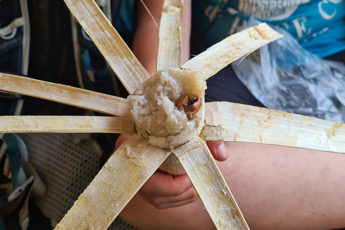 Sticky Rice in Bamboo Stick