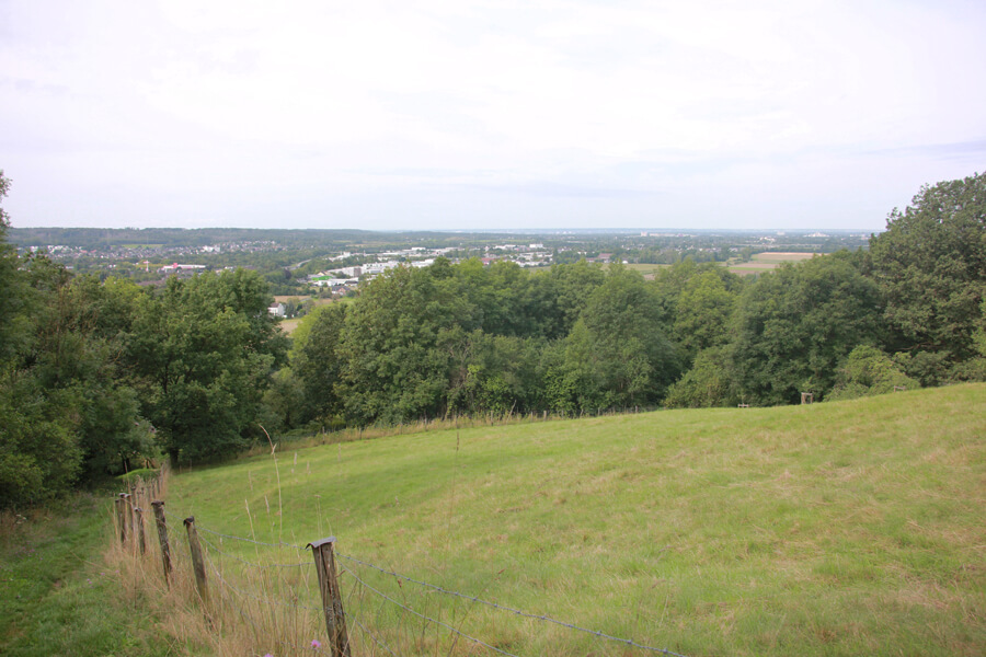 Ausblick auf Natursteig Sieg Etappe 2 bei Hennef