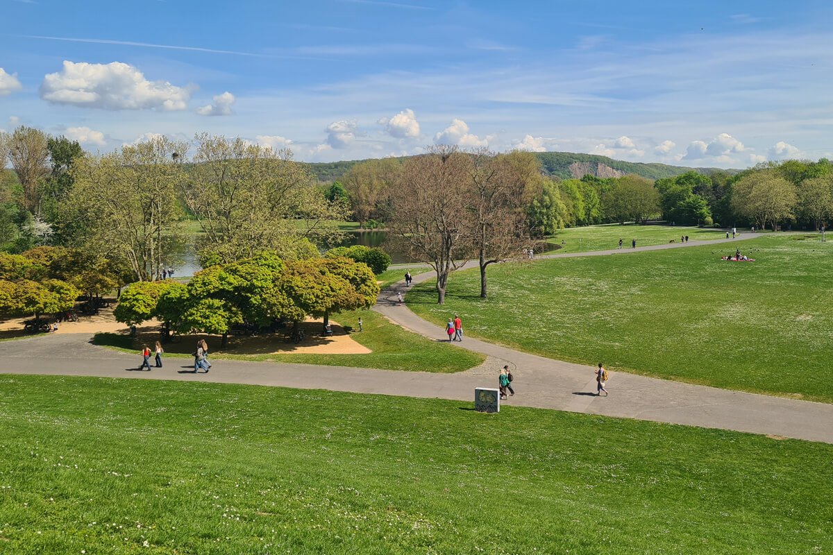Spazierwege in der Bonner Rheinaue