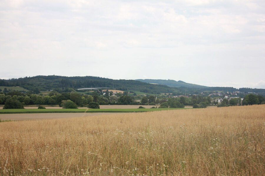 Hügelige Landschaft entlang des Prälatenwegs