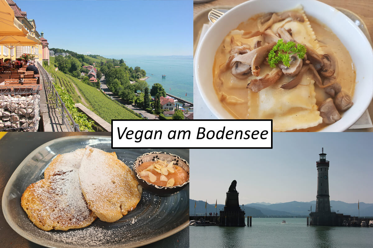 Vegan am Bodensee, Titelbild mit Kollage und Schriftzug