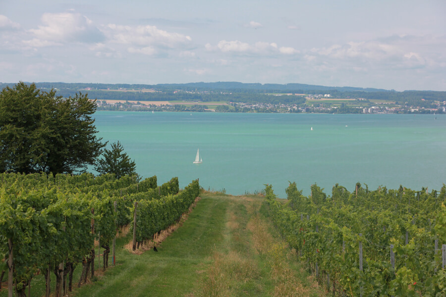 Aussicht auf den Bodensee von einem einfachen Wanderweg