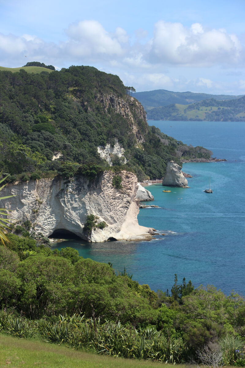 Felsküste auf der Coromandel-Halbinsel