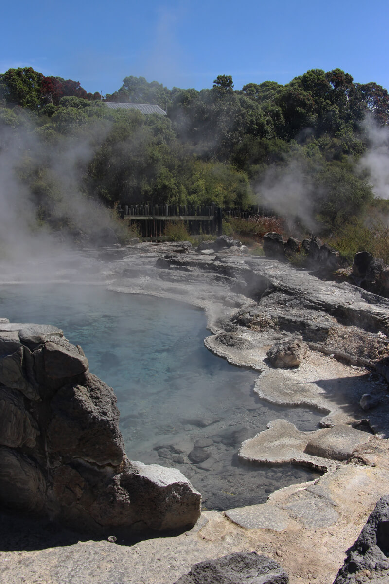 Heiße Quellen im Maori Village in Rotorua werden unter anderem als Kochstelle genutzt